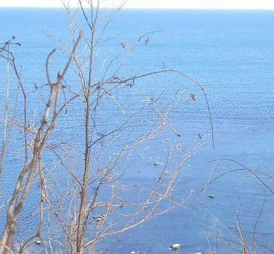 e0004756_1959122.jpg
