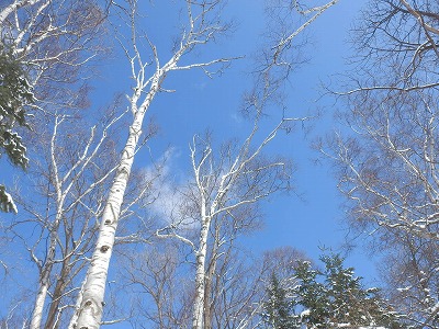 e0004756_2003315.jpg