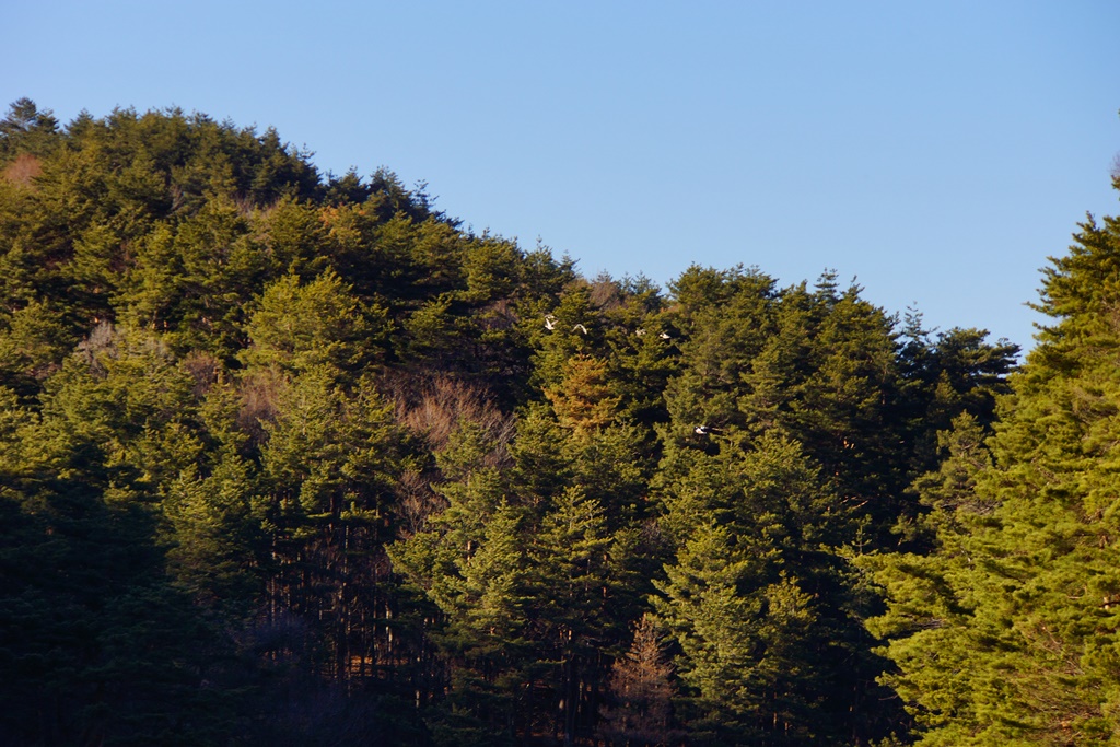 e0223456_965612.jpg
