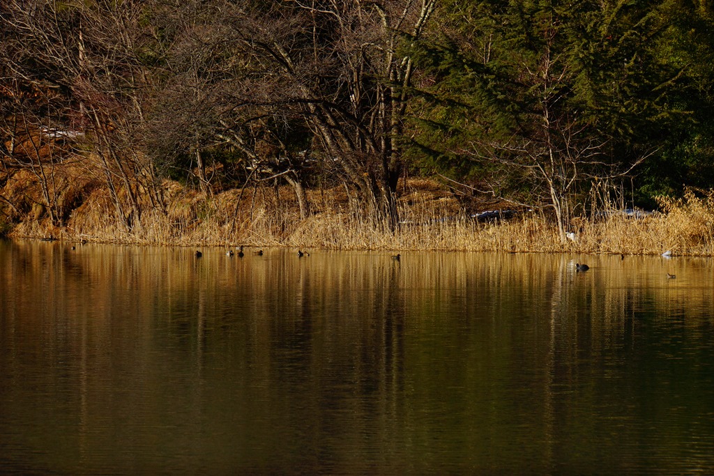 e0223456_981184.jpg