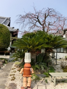 c0328559_172102.jpg
