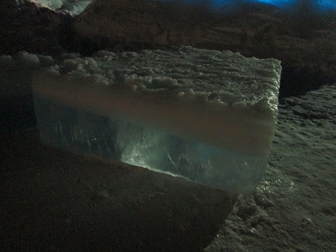 d0029363_1645886.jpg