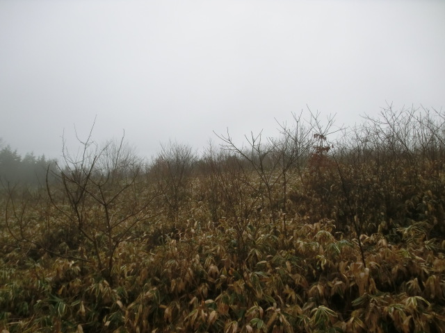 b0178466_1124365.jpg