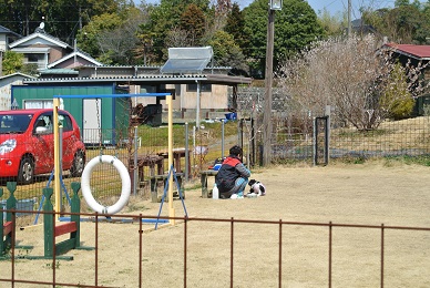 e0121583_20292467.jpg