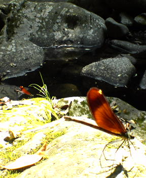 f0137483_13191688.jpg