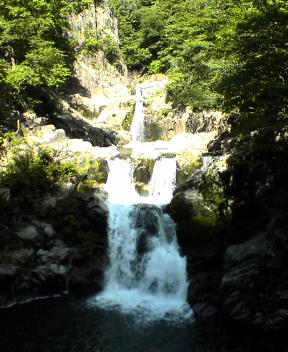 f0137483_14162947.jpg