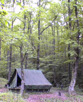 f0137483_14164379.jpg