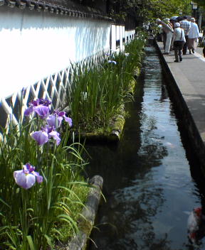 f0137483_1472618.jpg