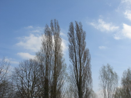 a0247585_821518.jpg
