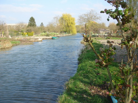 a0247585_8272692.jpg
