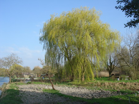 a0247585_8281216.jpg