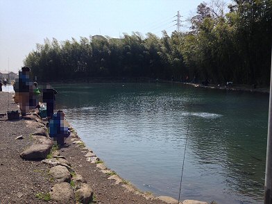 c0014187_9225050.jpg