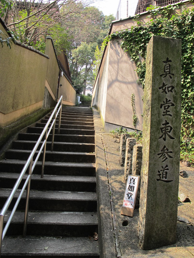 f0127388_1453622.jpg