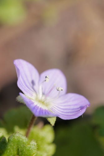 b0226089_165424100.jpg