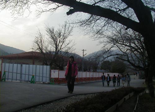 d0053294_2215483.jpg