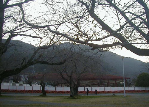 d0053294_2222067.jpg