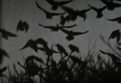 c0093101_1985618.jpg