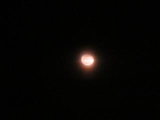 f0248616_924108.jpg