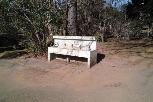 b0285619_20134550.jpg