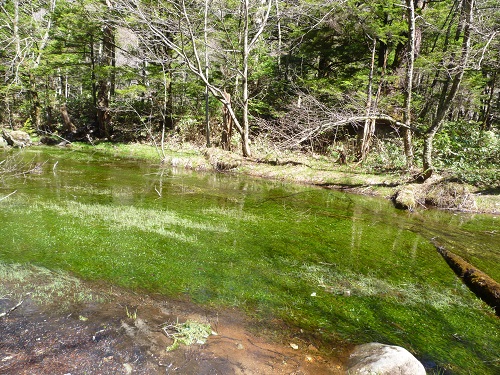 a0024829_21504816.jpg