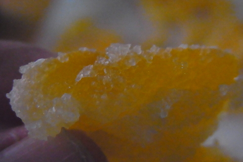 a0169836_15325112.jpg