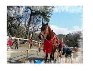 e0255638_11562096.gif