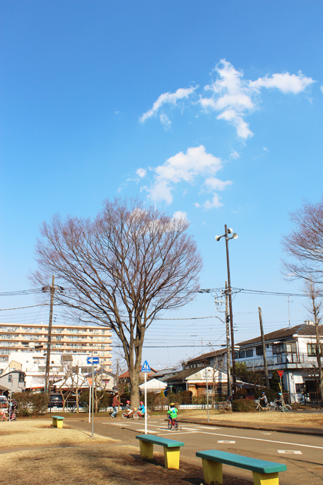 a0307547_2217081.jpg