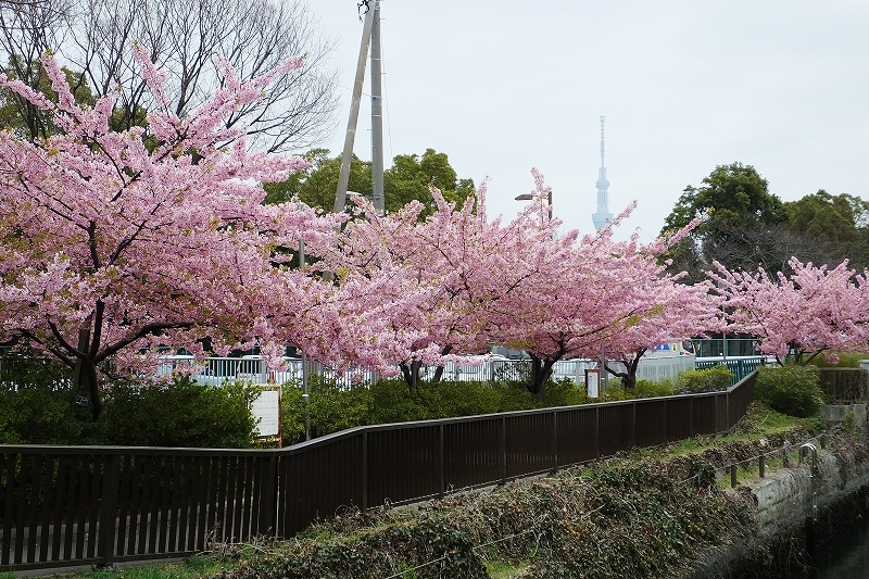 b0236251_16474830.jpg