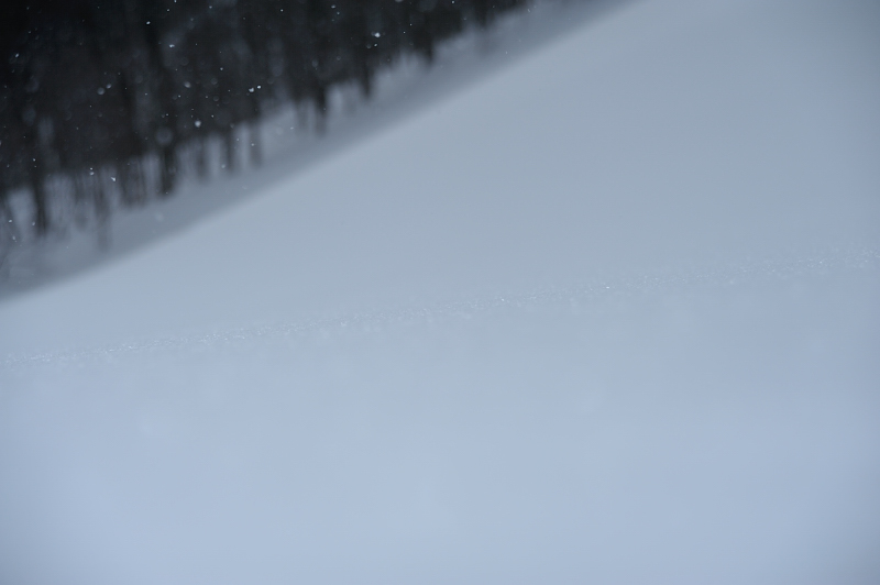 d0169556_21344133.jpg
