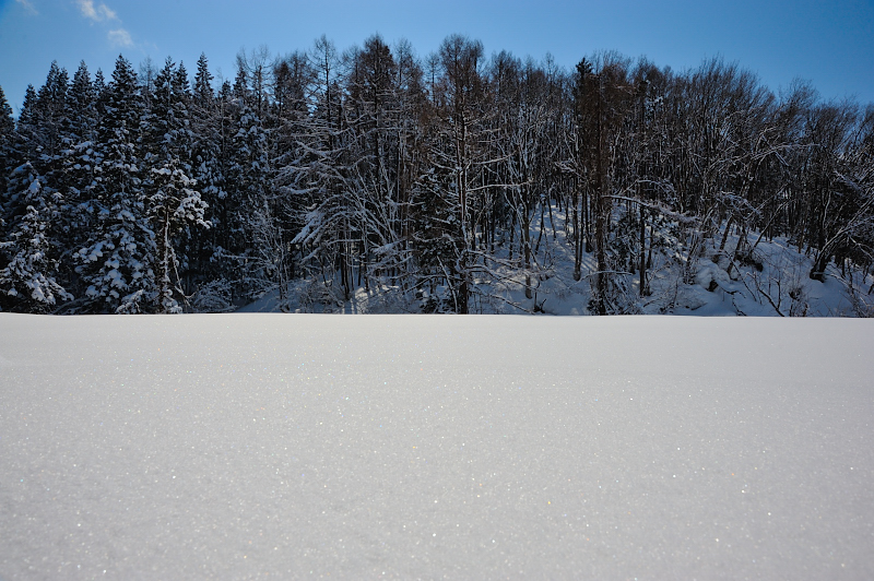 d0169556_2143213.jpg