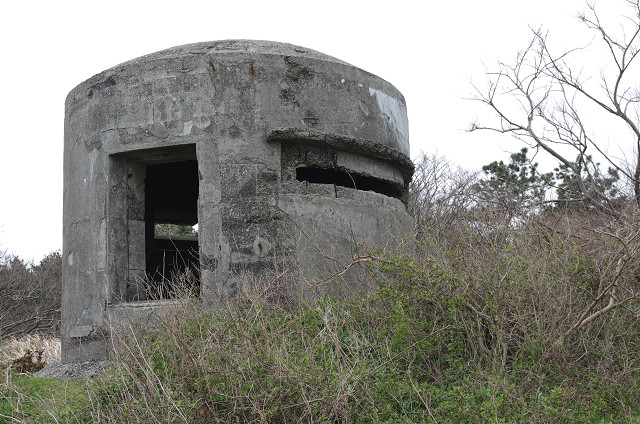 c0080357_1262546.jpg