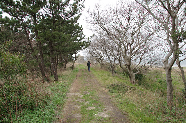 c0080357_126529.jpg