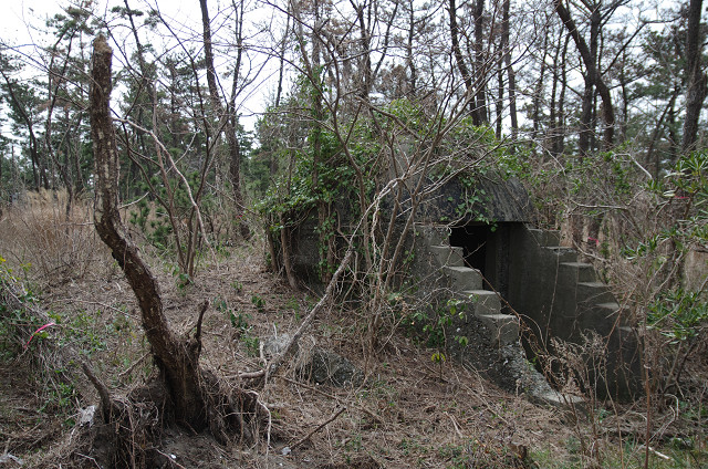 c0080357_127566.jpg
