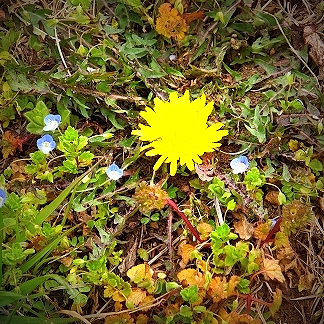 c0097558_1032834.jpg