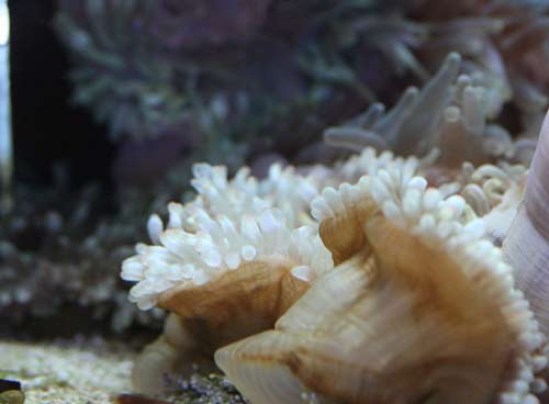 c0165758_1712518.jpg