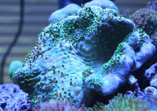 c0165758_17134663.jpg