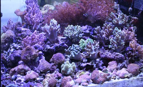 c0165758_1719883.jpg