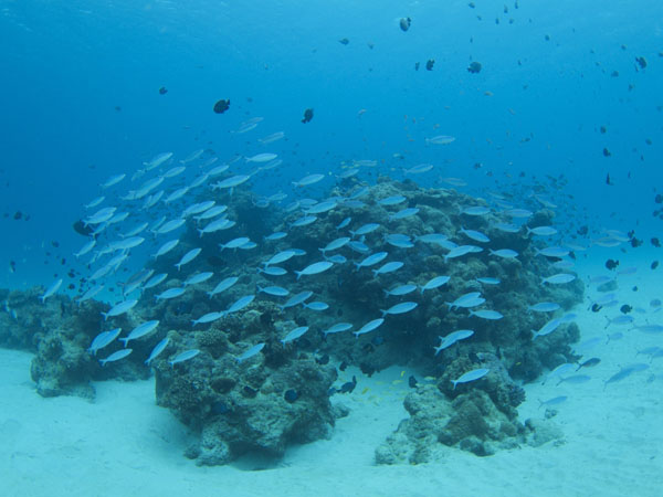 b0062363_20292568.jpg