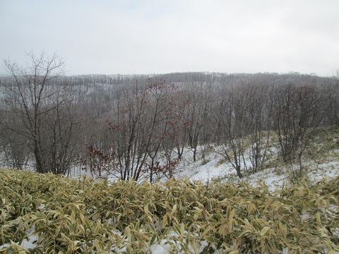 d0029363_16533391.jpg