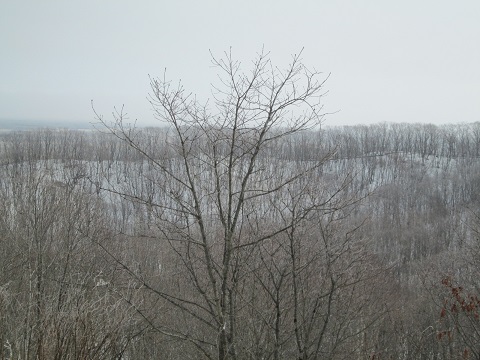 d0029363_16535251.jpg