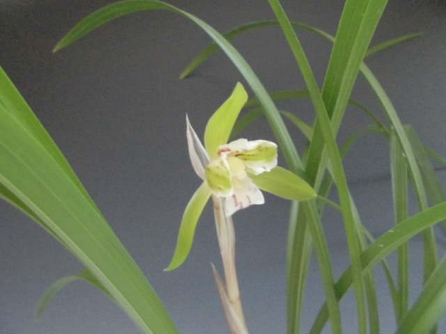 f0318967_20124150.jpg