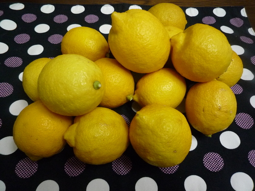 f0305275_221482.jpg