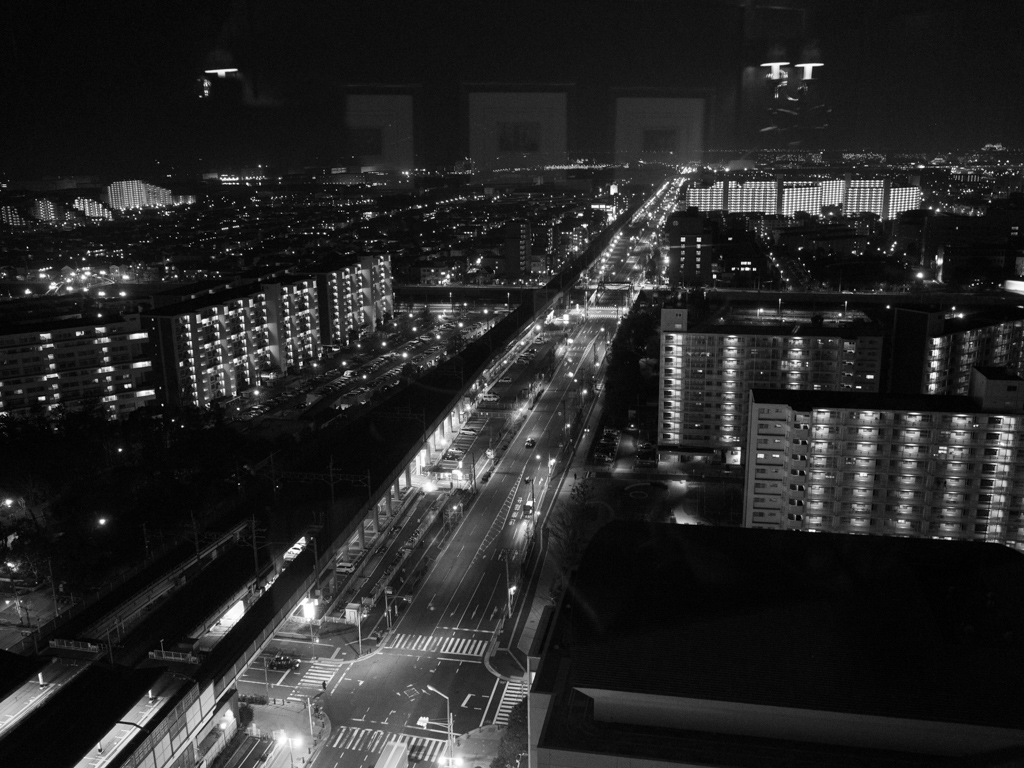 f0167977_17754.jpg