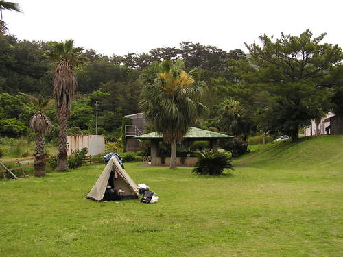 f0137483_1412152.jpg