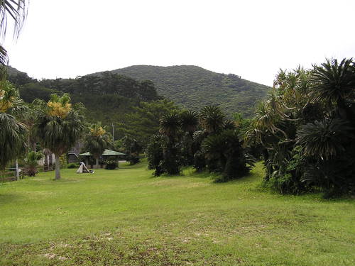 f0137483_1413716.jpg