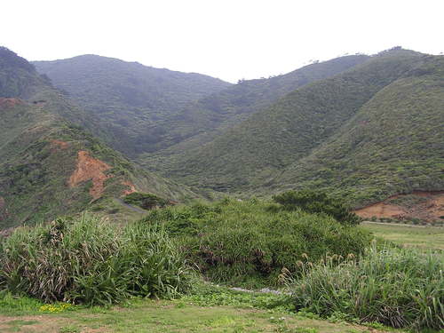 f0137483_14204297.jpg
