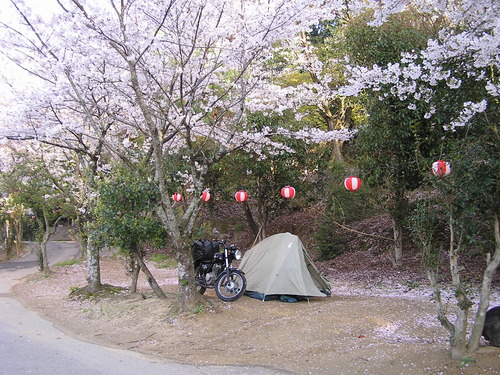 f0137483_1435590.jpg