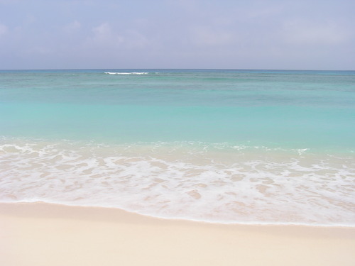f0137483_14573883.jpg