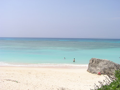 f0137483_14585290.jpg