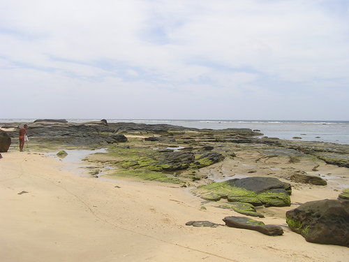f0137483_15101789.jpg